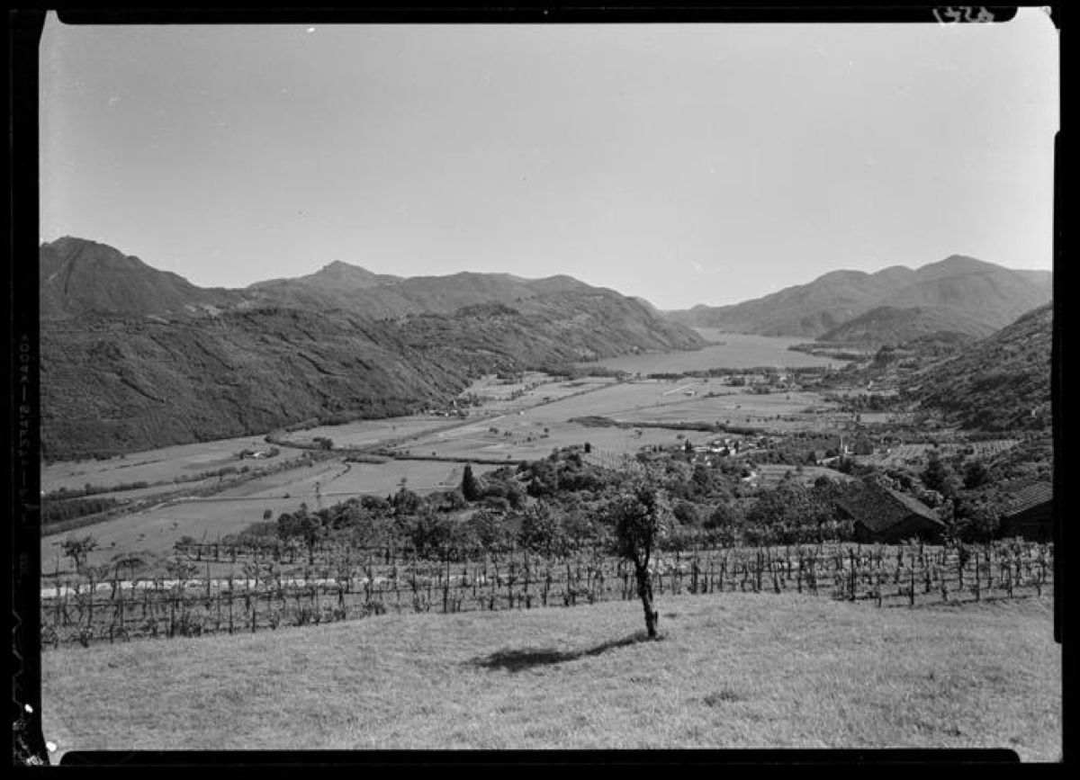 Fotografia storica della valle del Vedeggio — archivio Vicari